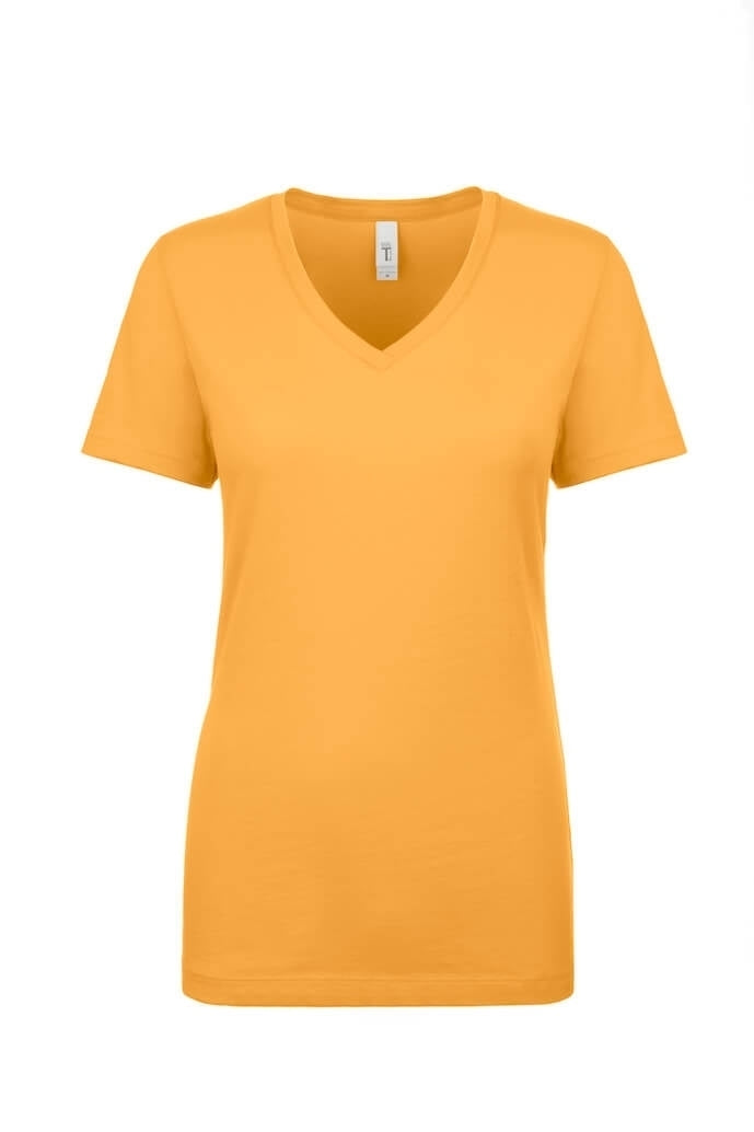 1540 Next Level Women's Ideal V-Neck T-shirt (XL)