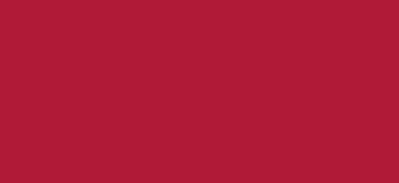Regular HTV  Yard (19.5" x 1 yard)