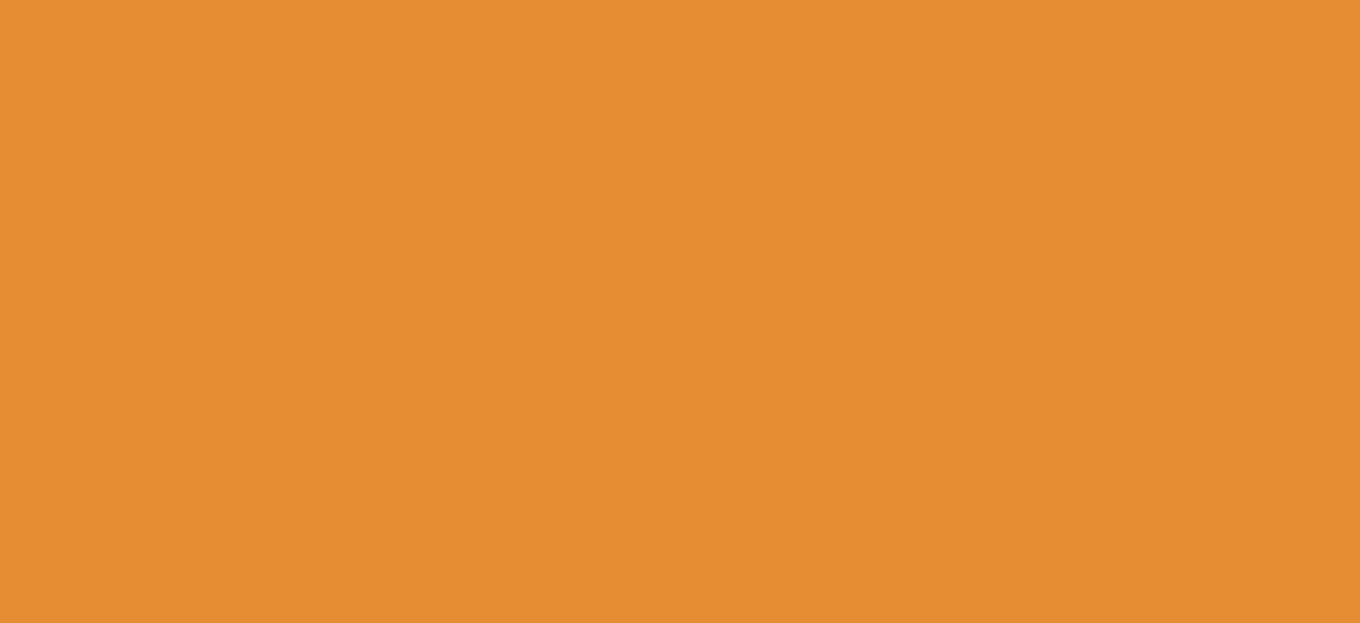 Regular HTV Small Roll (19.5" x 5 yards)