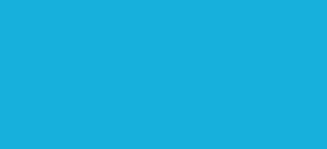 Regular HTV  Yard (19.5" x 1 yard)