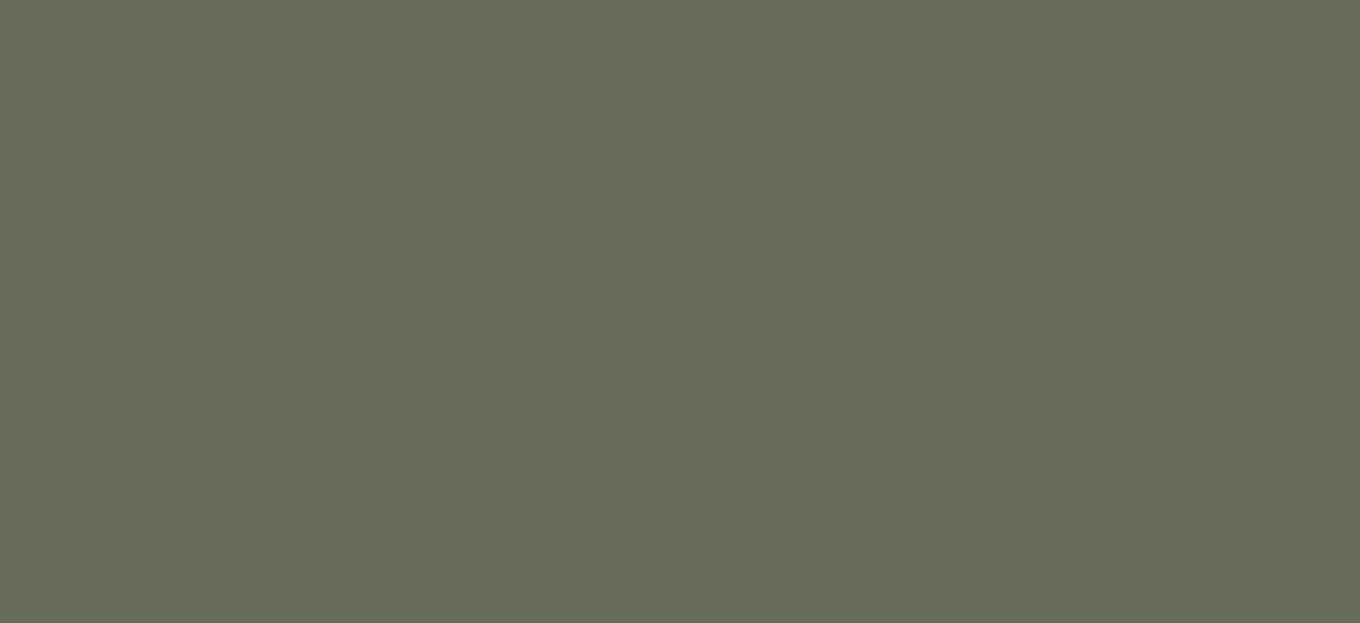 Regular HTV  Yard (19.5" x 1 yard)